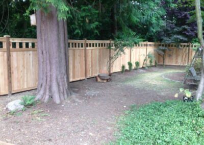 Wood fence installed next to trees.
